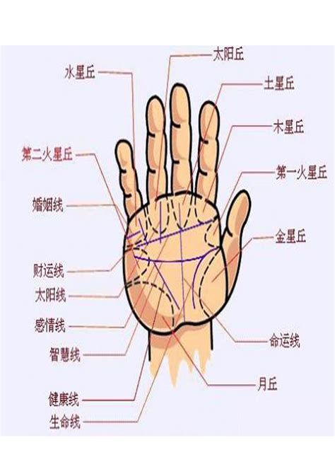 五行手相|手相五行图解